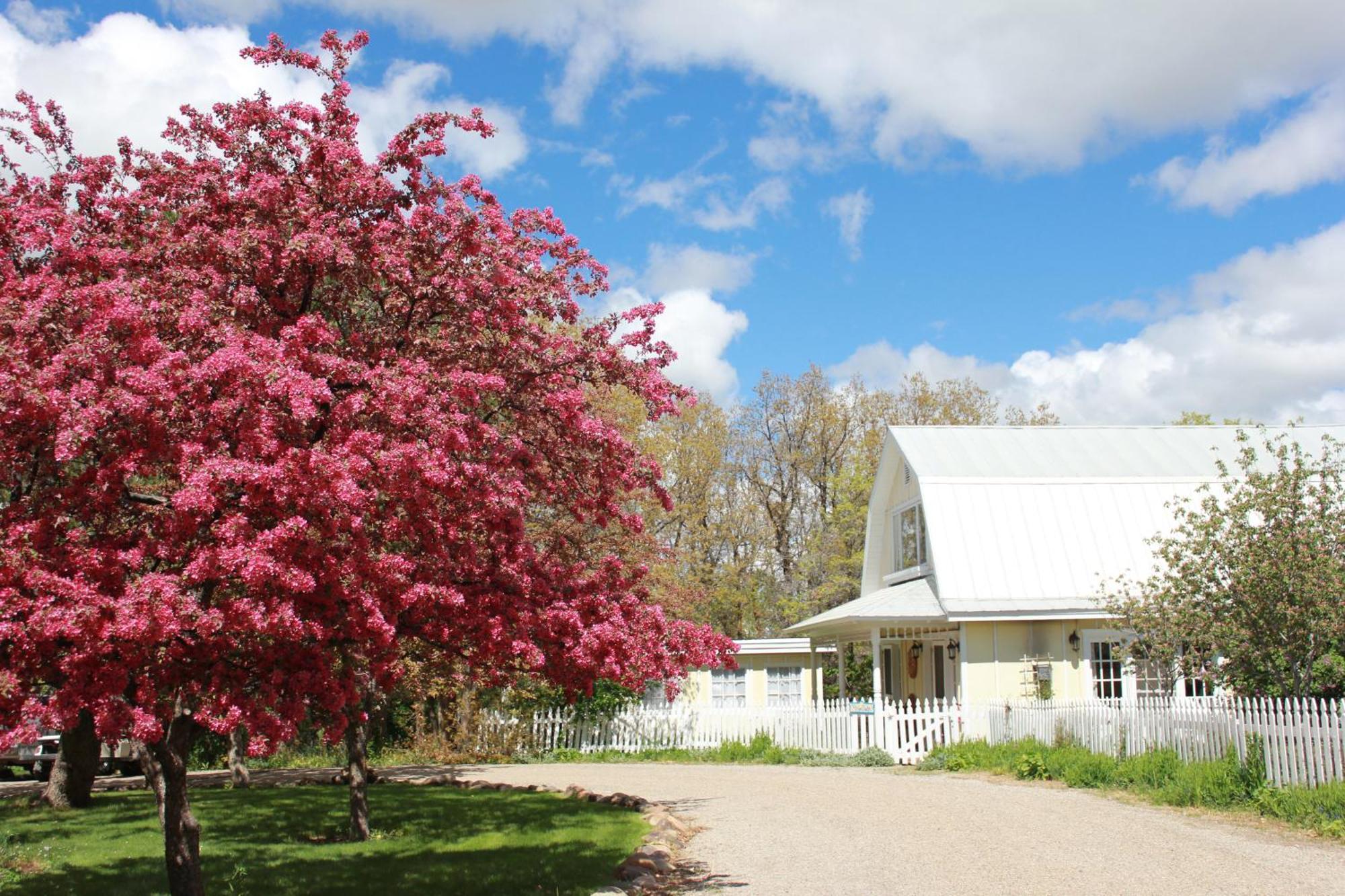 Blue Lake Ranch Hesperus Dış mekan fotoğraf